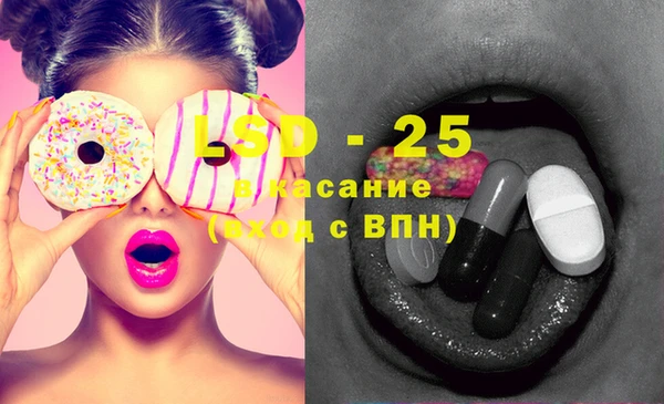 соль ск Новозыбков