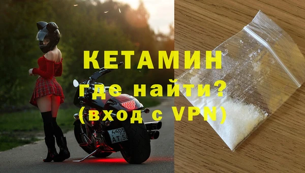 соль ск Новозыбков