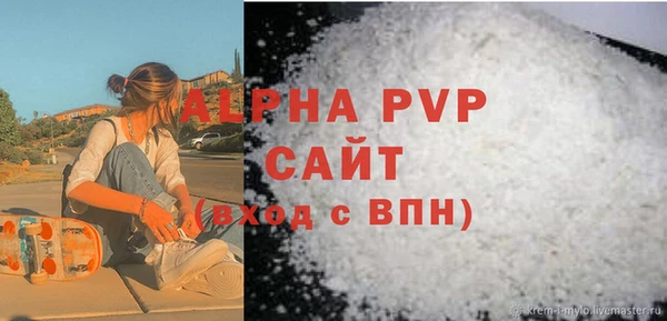 соль ск Новозыбков