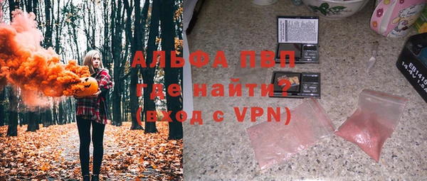 прущие грибы Новокубанск